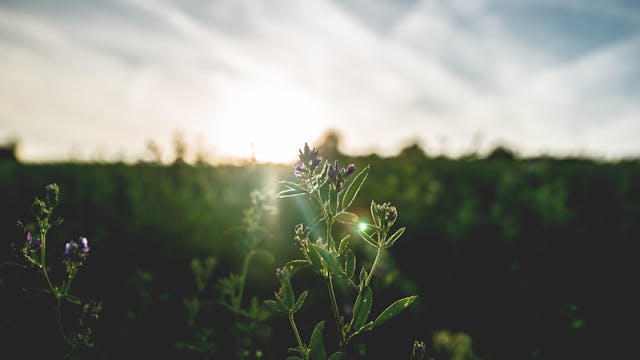9 malih jutranjih navad, ki okrepijo vajin odnos - Temptico